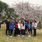 お花見会（春のイベント）